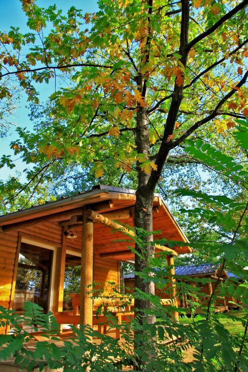 Albirondack Camping Lodge & Spa ห้อง รูปภาพ